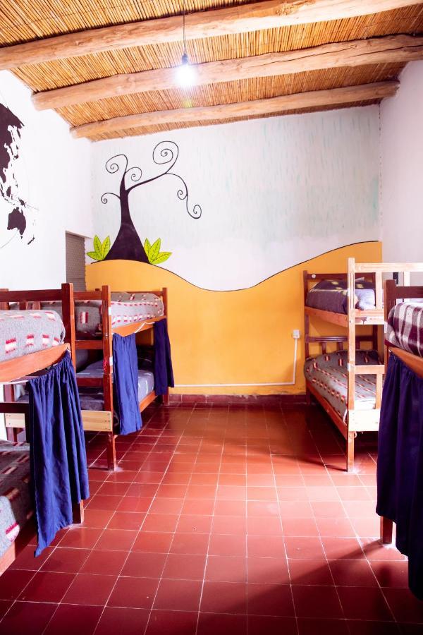 Apapacho Hostel تيلكارا المظهر الخارجي الصورة